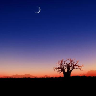 博鱼综合体育官网登录截图