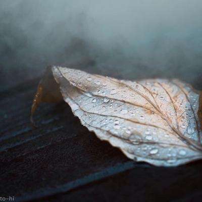 博鱼综合体育官网登录